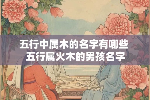 五行中属木的名字有哪些 五行属火木的男孩名字