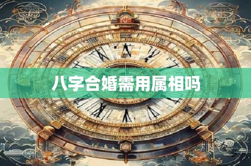 八字合婚需用属相吗