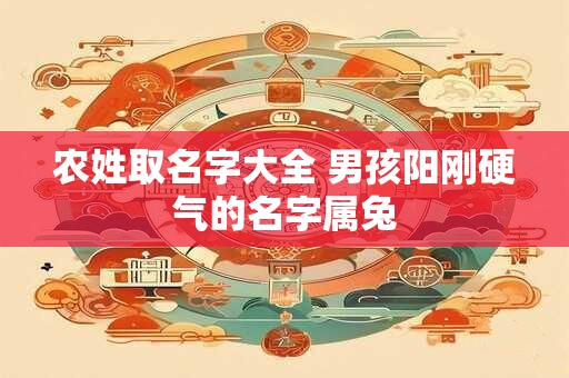 农姓取名字大全 男孩阳刚硬气的名字属兔