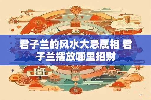 君子兰的风水大忌属相 君子兰摆放哪里招财