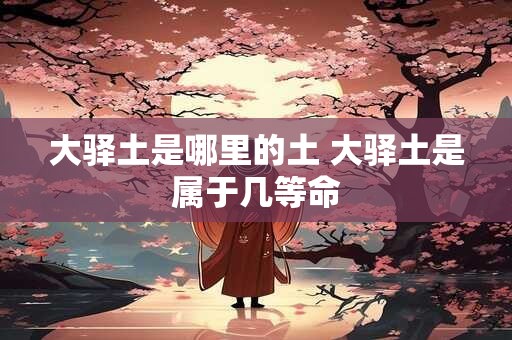 大驿土是哪里的土 大驿土是属于几等命