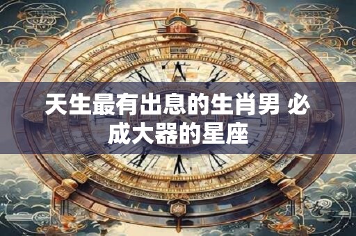 天生最有出息的生肖男 必成大器的星座