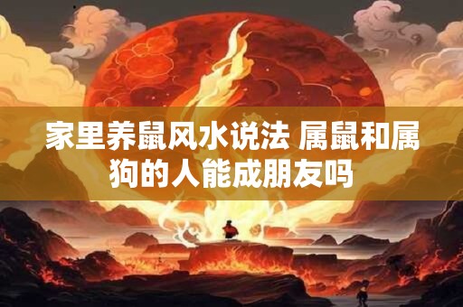 家里养鼠风水说法 属鼠和属狗的人能成朋友吗