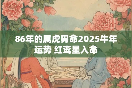 86年的属虎男命2025牛年运势 红鸾星入命