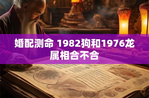 婚配测命 1982狗和1976龙属相合不合