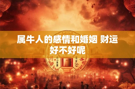 属牛人的感情和婚姻 财运好不好呢