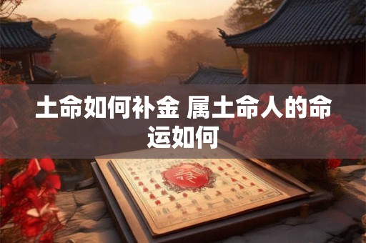 土命如何补金 属土命人的命运如何