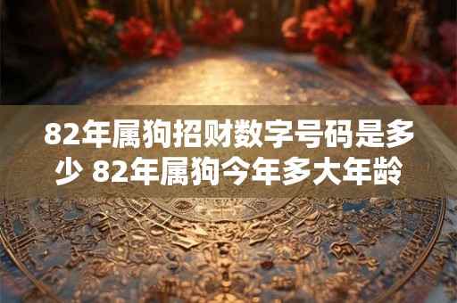 82年属狗招财数字号码是多少 82年属狗今年多大年龄