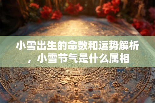 小雪出生的命数和运势解析，小雪节气是什么属相