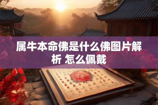 属牛本命佛是什么佛图片解析 怎么佩戴
