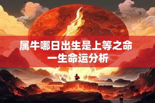 属牛哪日出生是上等之命 一生命运分析