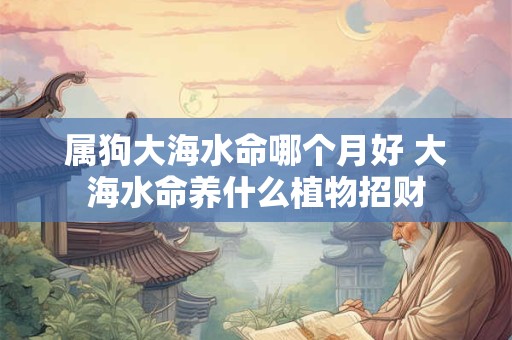 属狗大海水命哪个月好 大海水命养什么植物招财
