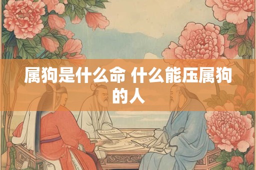 属狗是什么命 什么能压属狗的人