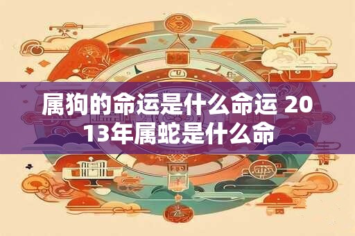属狗的命运是什么命运 2013年属蛇是什么命