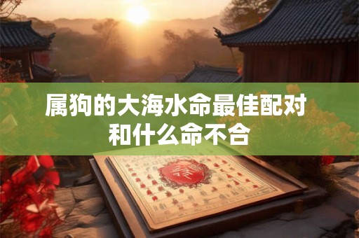 属狗的大海水命最佳配对 和什么命不合