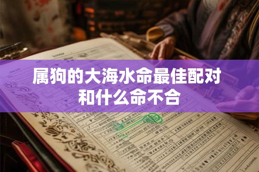 属狗的大海水命最佳配对 和什么命不合