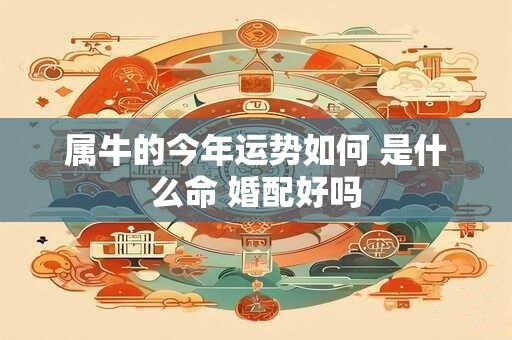 属牛的今年运势如何 是什么命 婚配好吗