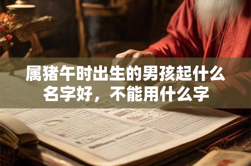 属猪午时出生的男孩起什么名字好，不能用什么字