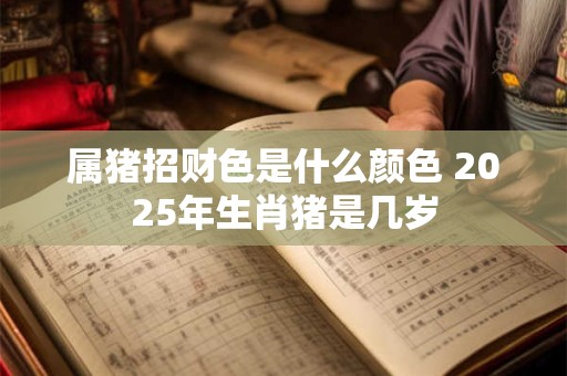 属猪招财色是什么颜色 2025年生肖猪是几岁