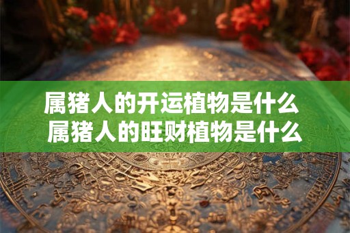 属猪人的开运植物是什么 属猪人的旺财植物是什么