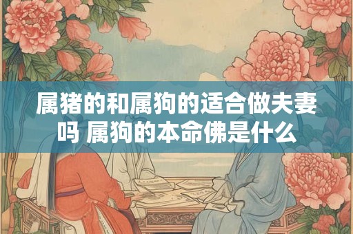 属猪的和属狗的适合做夫妻吗 属狗的本命佛是什么