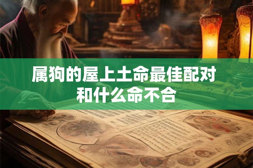 属狗的屋上土命最佳配对 和什么命不合