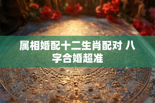 属相婚配十二生肖配对 八字合婚超准