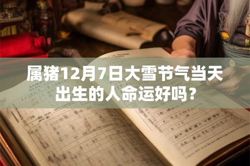 属猪12月7日大雪节气当天出生的人命运好吗？