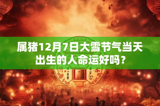 属猪12月7日大雪节气当天出生的人命运好吗？