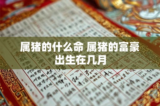 属猪的什么命 属猪的富豪出生在几月