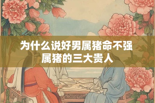 为什么说好男属猪命不强 属猪的三大贵人
