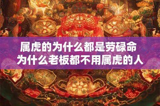 属虎的为什么都是劳碌命 为什么老板都不用属虎的人
