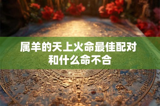 属羊的天上火命最佳配对 和什么命不合
