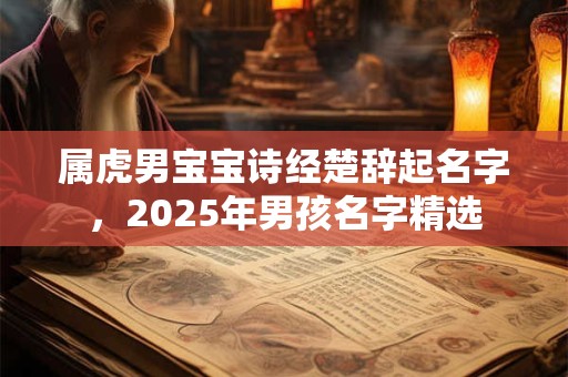 属虎男宝宝诗经楚辞起名字，2025年男孩名字精选