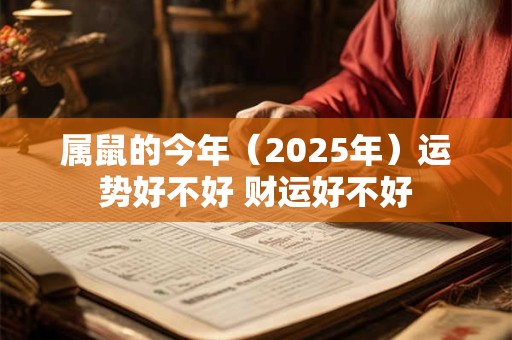 属鼠的今年（2025年）运势好不好 财运好不好