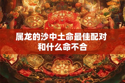 属龙的沙中土命最佳配对 和什么命不合
