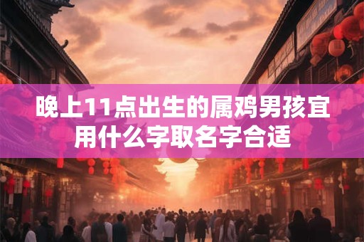 晚上11点出生的属鸡男孩宜用什么字取名字合适