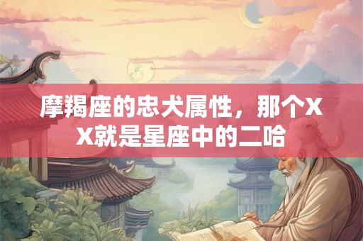 摩羯座的忠犬属性，那个XX就是星座中的二哈