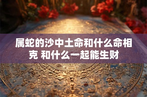 属蛇的沙中土命和什么命相克 和什么一起能生财