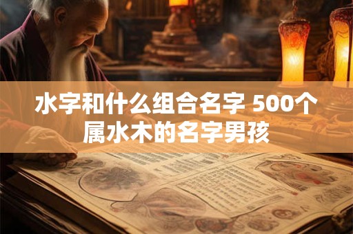 水字和什么组合名字 500个属水木的名字男孩