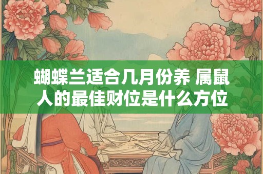 蝴蝶兰适合几月份养 属鼠人的最佳财位是什么方位