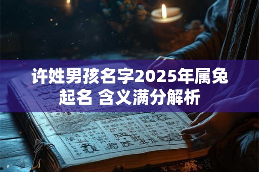 许姓男孩名字2025年属兔起名 含义满分解析