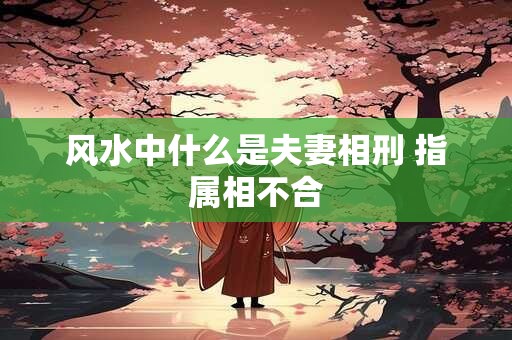 风水中什么是夫妻相刑 指属相不合
