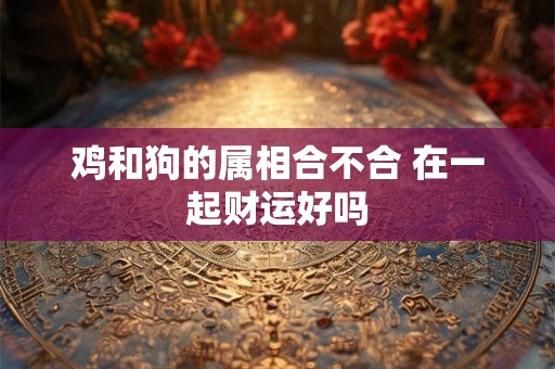 鸡和狗的属相合不合 在一起财运好吗