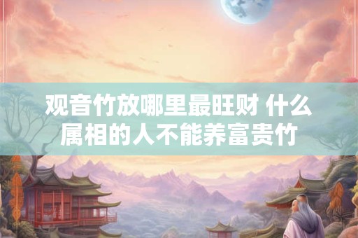 观音竹放哪里最旺财 什么属相的人不能养富贵竹