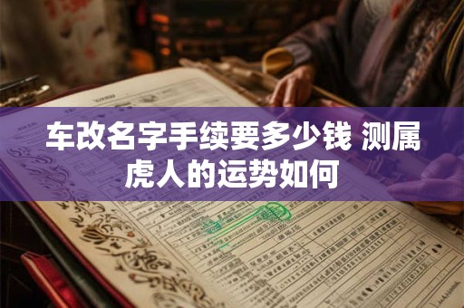 车改名字手续要多少钱 测属虎人的运势如何