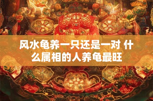 风水龟养一只还是一对 什么属相的人养龟最旺
