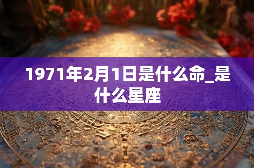 1971年2月1日是什么命_是什么星座