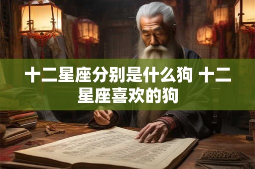 十二星座分别是什么狗 十二星座喜欢的狗