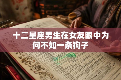 十二星座男生在女友眼中为何不如一条狗子